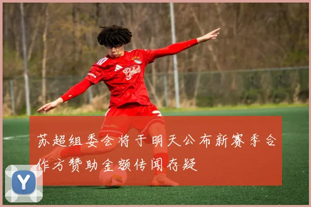 苏超组委会将于明天公布新赛季合作方赞助金额传闻存疑